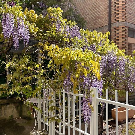 Villa Il Glicine - Monolocale A Due Passi Dal Centro Urbino Esterno foto