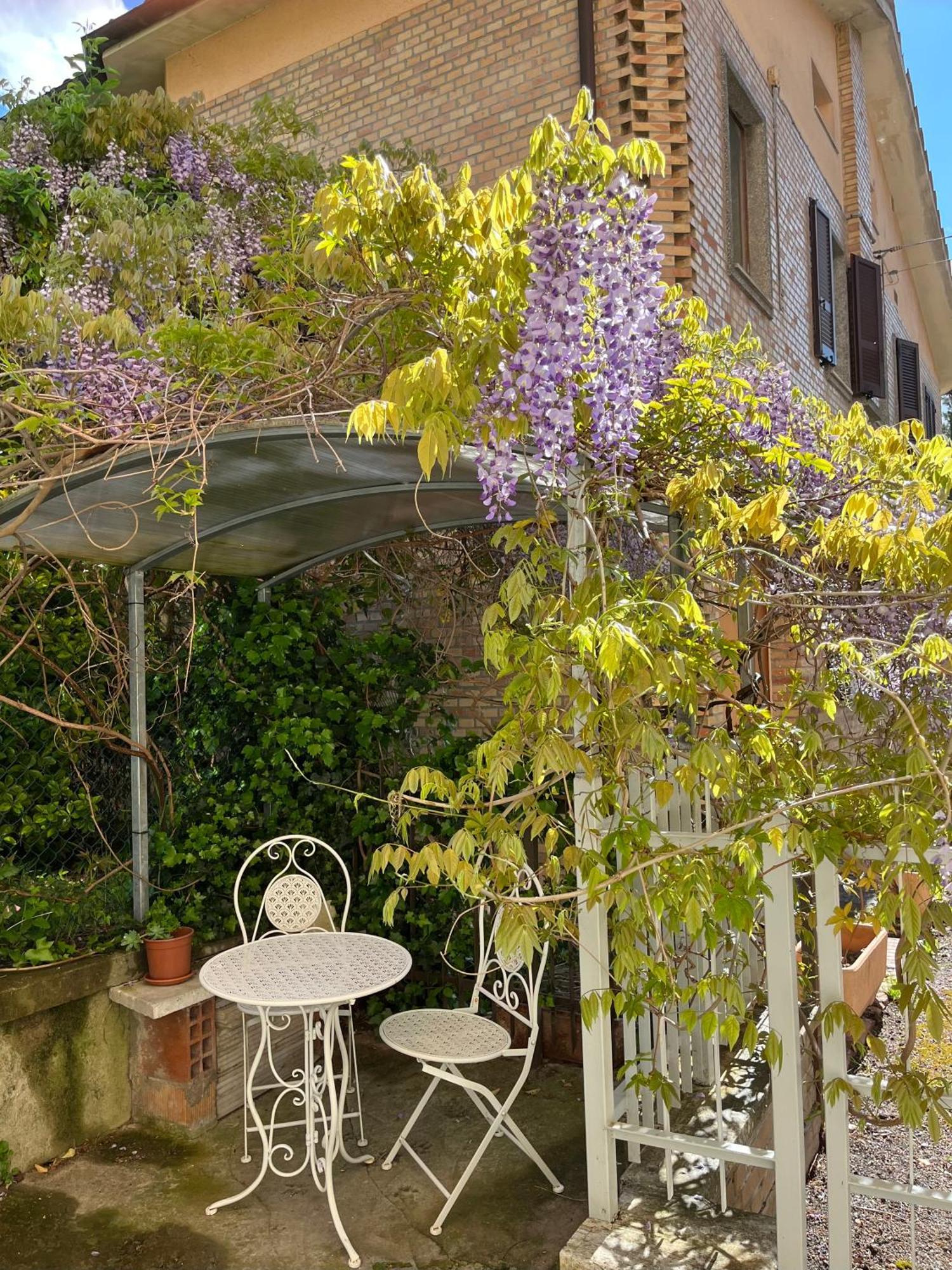 Villa Il Glicine - Monolocale A Due Passi Dal Centro Urbino Esterno foto